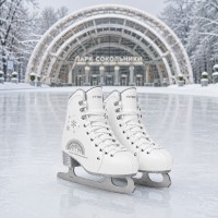 Коньки фигурные FITICE Rental X Sokolniki Silver EDITION